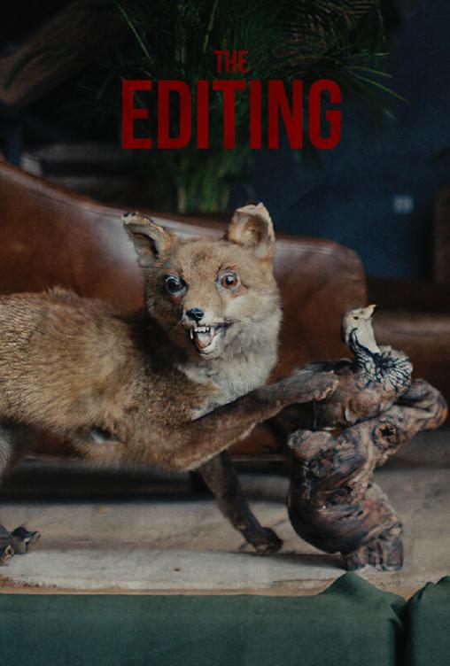 THE EDITING THE EDITING