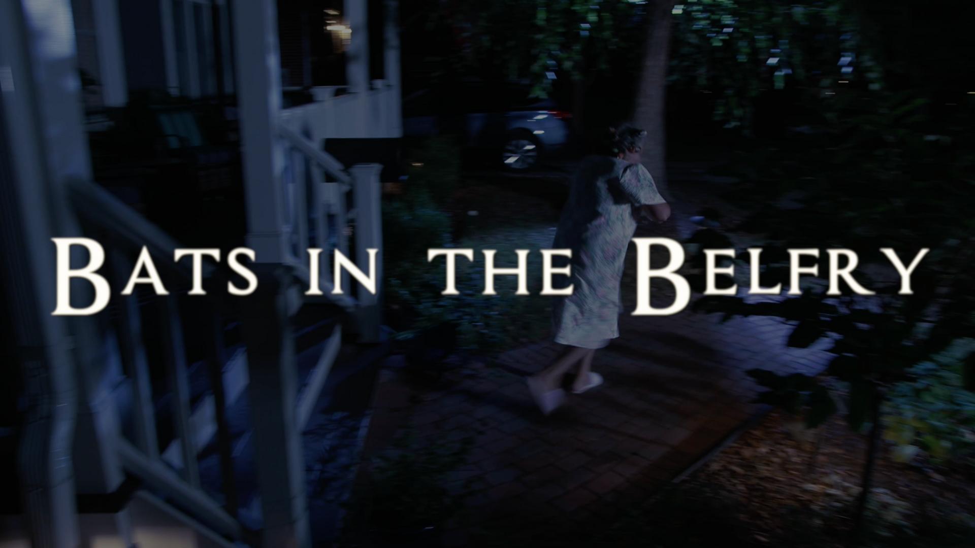 Bats in the Belfry