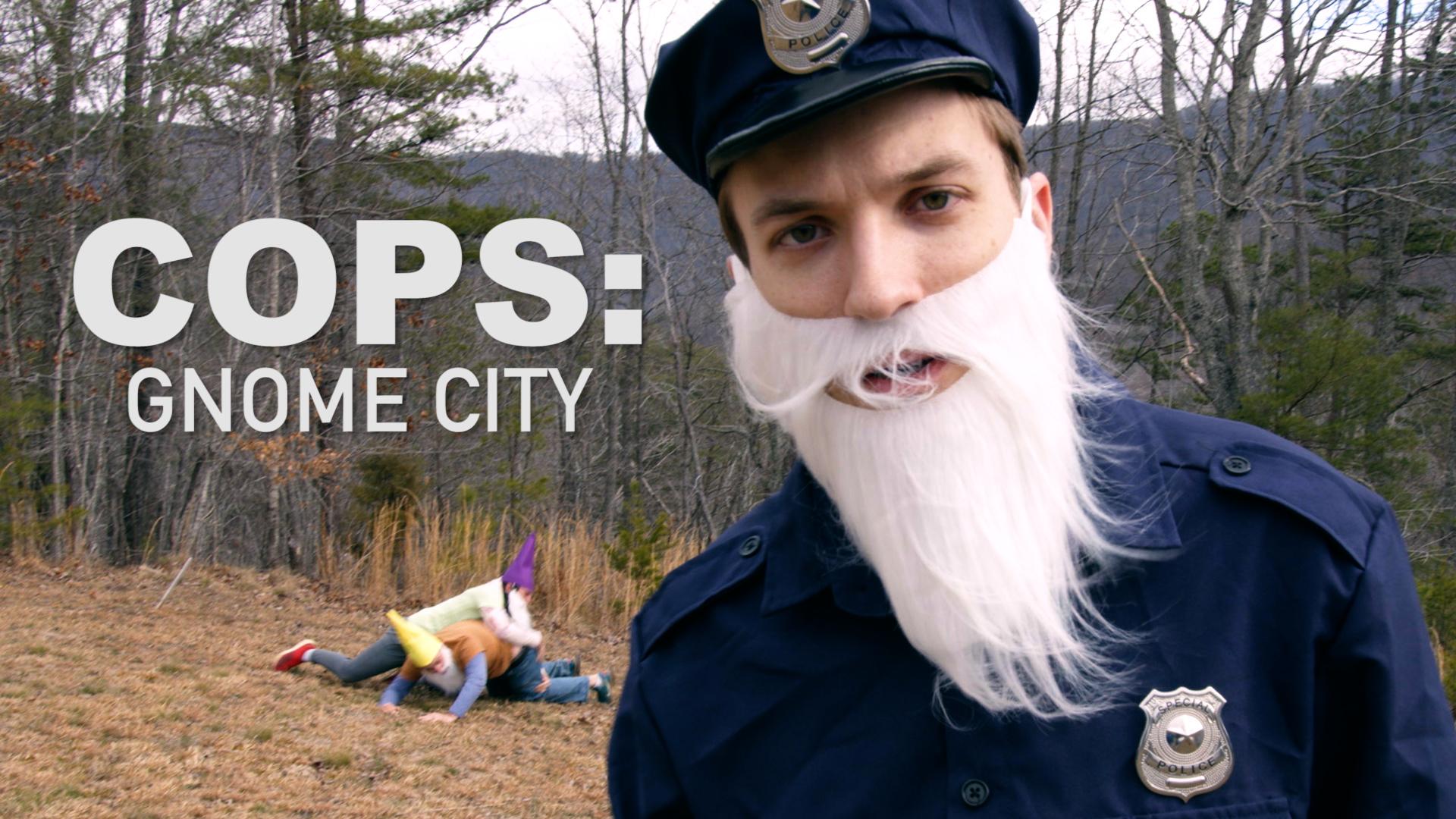 Cops : Gnome City