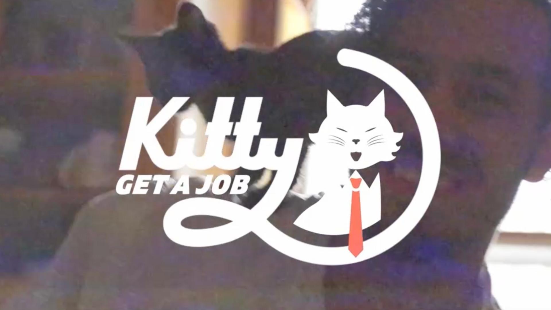 Kitty Get a Job Sketch Comedy Pilot Kitty Get a Job Sketch Comedy Pilot