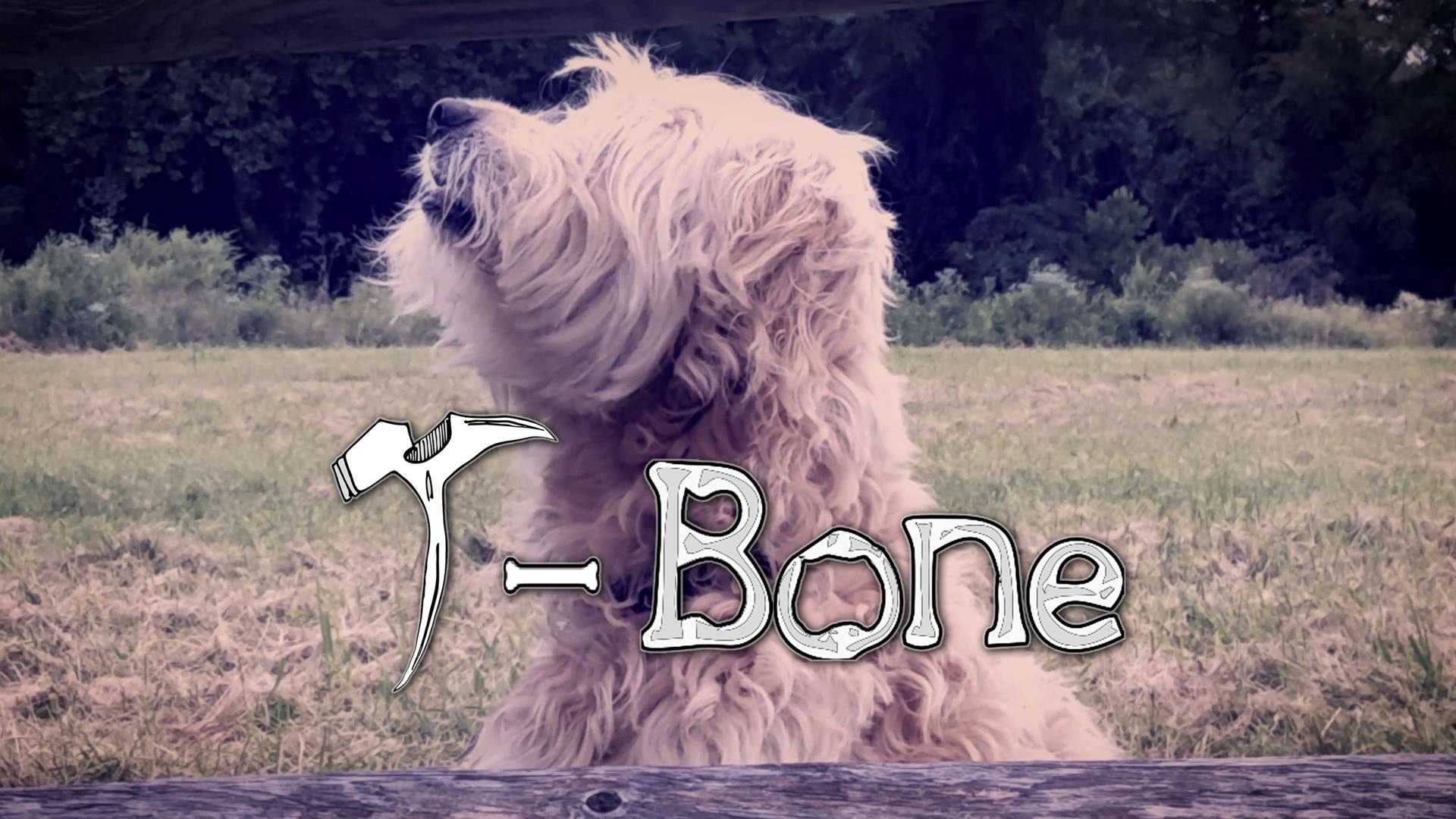 T-Bone