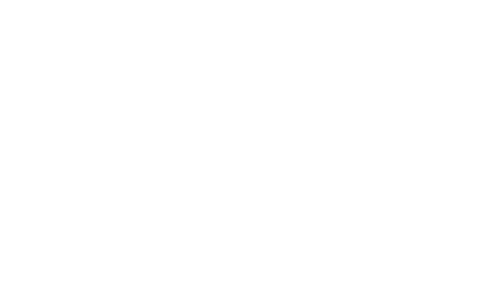The BBQ The BBQ
